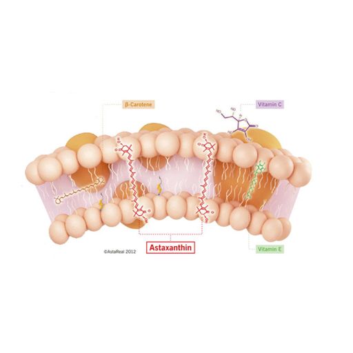 Untitled design (13)